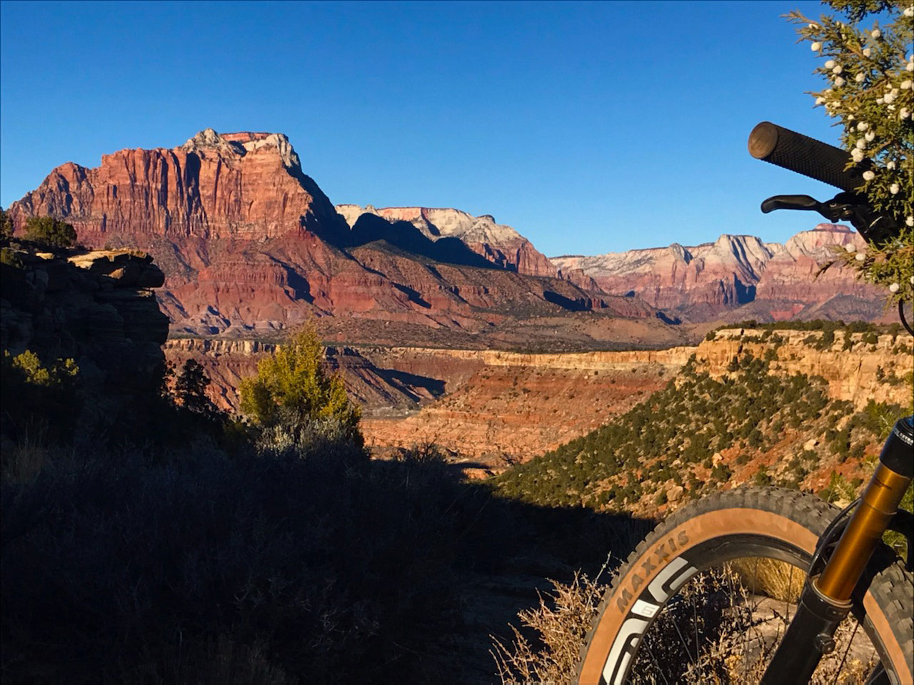 Mountain bike with view of Zion NP